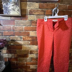 4 LOFT Ankle length pants. All 4 for $35